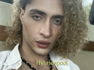 Hybridepool