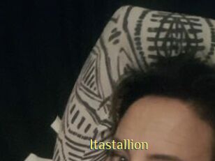 Itastallion