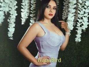 IvanaBird