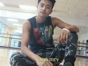 Iam_mrv