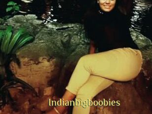 Indianbigboobies
