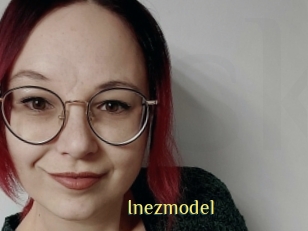 Inezmodel