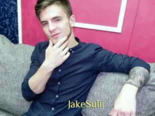 JakeSulii