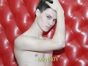 JoeyB0Y