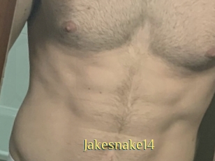 Jakesnake14
