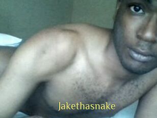 Jake_tha_snake