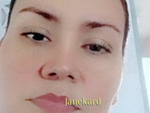 janekard Brutal Spankings