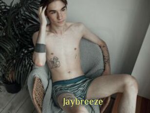 Jaybreeze