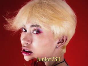 Junior2311