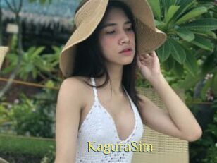 KaguraSim