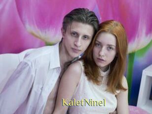 KaletNinel