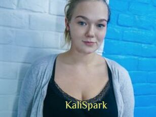 KaliSpark