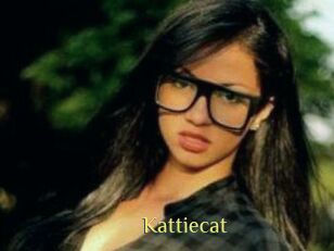 Kattiecat