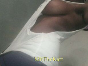 Kitt_The_Katt