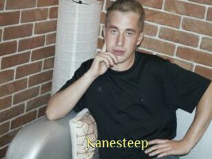Kanesteep