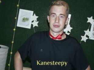 Kanesteepy