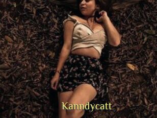 Kanndycatt