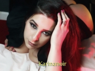 Karinanoir