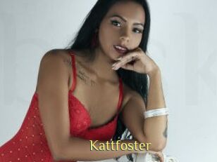 Kattfoster
