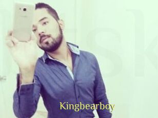 Kingbearboy
