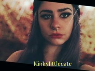 Kinkylittlecate