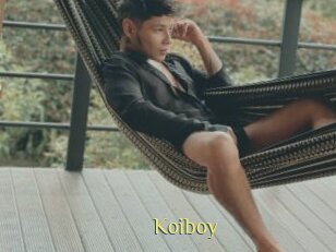 Koiboy
