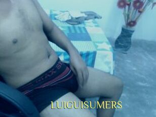 LUIGUISUMERS