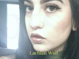 Lachlan_Wolf