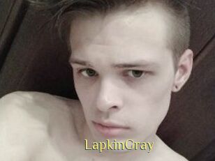 LapkinGray