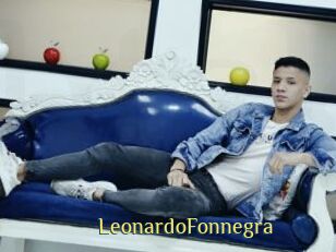 LeonardoFonnegra