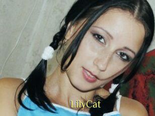 Lily_Cat_