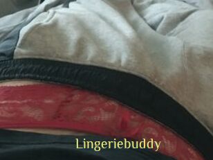 Lingeriebuddy