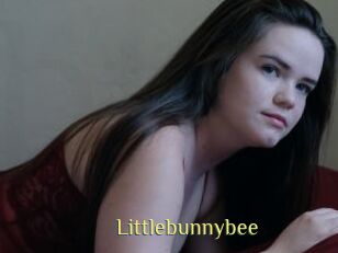 Littlebunnybee