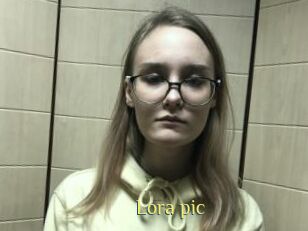 Lora_pic
