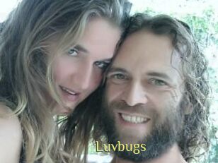 Luvbugs