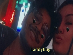 Laddybug