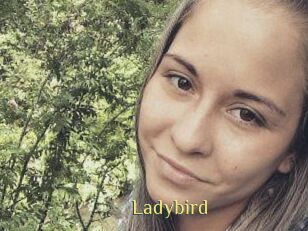 Ladybird