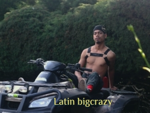 Latin_bigcrazy
