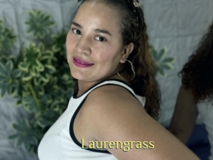Laurengrass