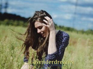 Lavenderdreams