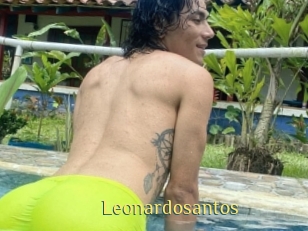 Leonardosantos