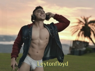 leytonfloyd Brutal Spankings