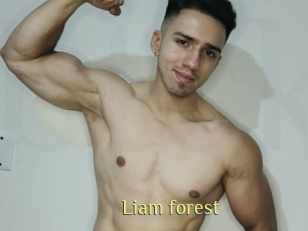 Liam_forest