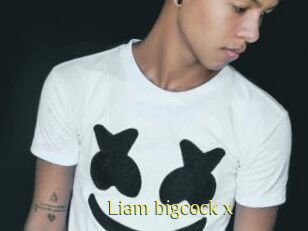 Liam_bigcock_x
