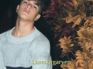 Liamtargaryen