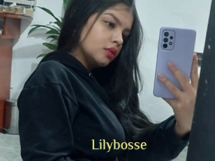 Lilybosse