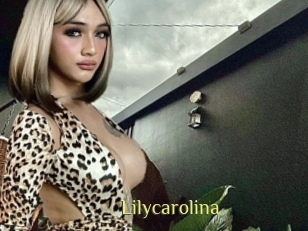 lilycarolina Brutal Spankings