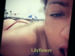 Lilyflower