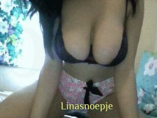 Linasnoepje
