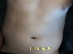 Littlebig99